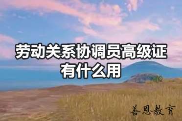 劳动关系协调员高级证有什么用「报考答疑」