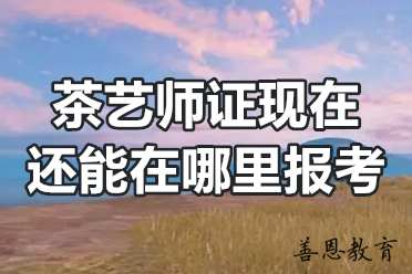 茶艺师证现在还能在哪里报考？「报考答疑」