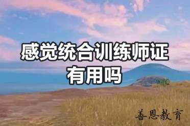 感觉统合训练师证有用吗