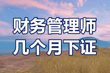 财务管理师几个月下证?财务管理师证多大可以考?