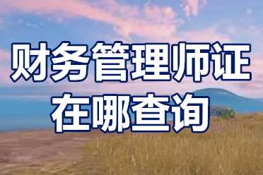 财务管理师证在哪查询