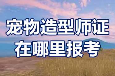 宠物造型师证通过率高吗？宠物造型师证在哪里报考？