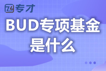 香港BUD专项基金都有哪些政府补助 香港BUD专项基金奖励资金作用(图1)