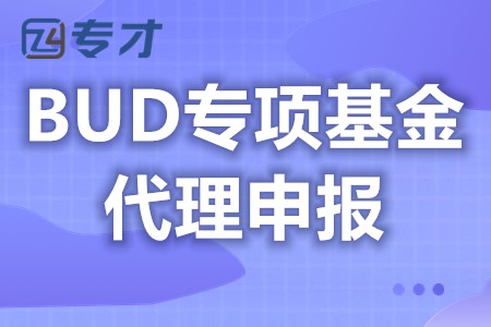 香港BUD专项基金可以拿到多少补贴 什么时候认定香港BUD专项基金(图1)